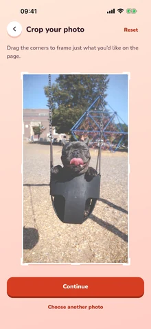 The crop screen in Outlineify, framing a photo of a dog