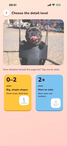 The detail level screen, with 0–2 and 2+ choices
